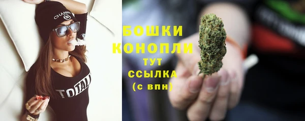 mix Богородицк