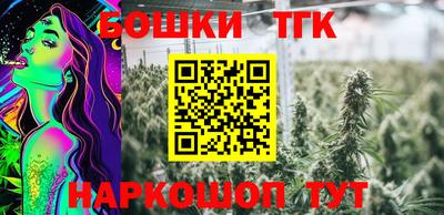 крисы Коммунар