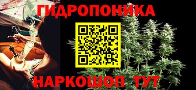 крисы Коммунар