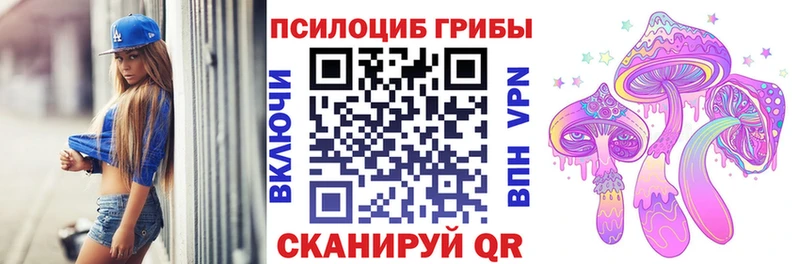 Псилоцибиновые грибы Psilocybe  как найти закладки  OMG как зайти  Кубинка 