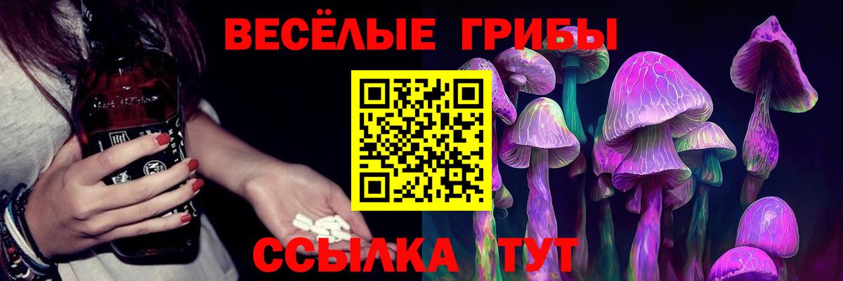 цена   Вход с VPN  Кубинка  Псилоцибиновые грибы прущие грибы 